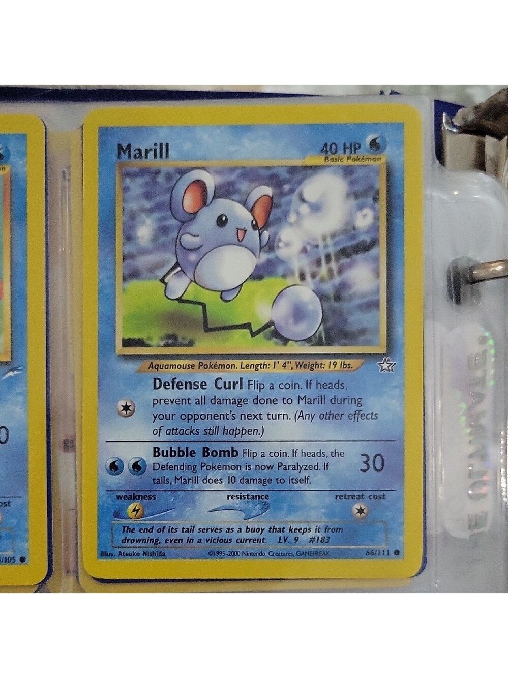 Pokemon Card Madrill